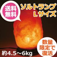 宅配便送料無料 ソルトランプ 岩塩ランプ ネオ ナチュラル L 約4 5 6kg アースコンシャス製 雑貨 ソルトランプ アースコンシャス ストア